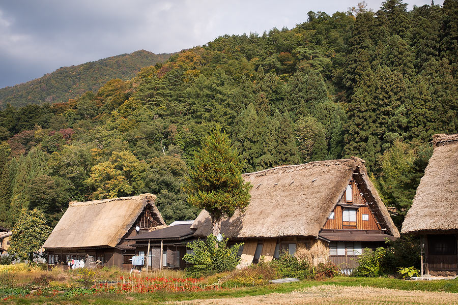 Shirakawa-go - Gassho-zukuri houses