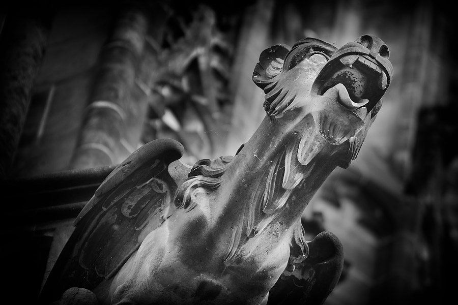Gargoyle - St. Vitus cathedral